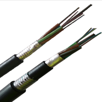 Kabel Serat Optik Single Mode G.652D untuk Saluran Bawah Tanah Luar Ruangan, Jaket GYTA PE/MDPE/HDPE, Bersertifikasi CE, Hitam, 2-288 Core Terlilit