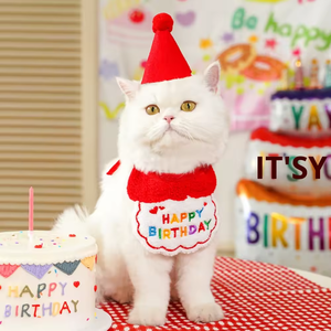 Chapeau et bavoir brodés pour fête d'anniversaire d'animaux <span class=keywords><strong>de</strong></span> compagnie Petop, décoration d'anniversaire pour animaux <span class=keywords><strong>de</strong></span> compagnie - Product Image 6