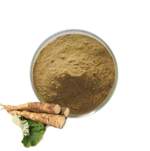 天然ゴボウ根エキス粉末有機アルクティウムラッパエキス工場供給 - Product Image 1