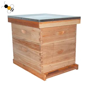 Beehive fabricantes langstrth beehive para venda