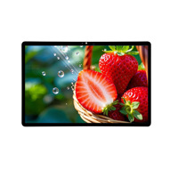 Pantalla Táctil LCD IPS In-cell de 10.95 Pulgadas, Resolución 1200*1920, Interfaz MIPI/I2C de 51 Pines, Brillo de 400cd/m, Rango de Funcionamiento de -10~+60°C