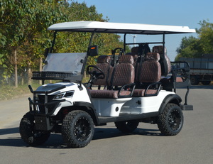 Voiture de golf électrique haute performance 6 places homologuée pour la route rose pour les parcs pittoresques Prise en charge de diverses personnalisations - Product Image 6