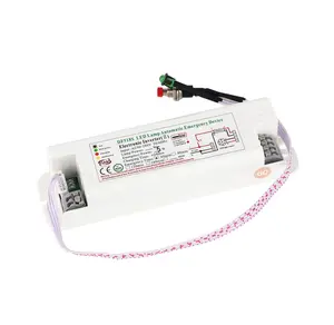 Zelfcontrole Noodvoeding 3W 3 Uur Back-Up Batterij Led Driver Voor Downlight