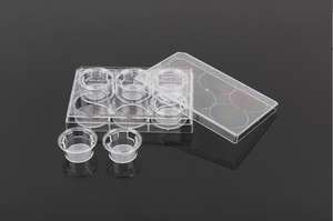 Forniture di laboratorio di capsule di <span class=keywords><strong>Petri</strong></span> a membrana in plastica a 6 pozzetti per inserti per colture cellulari di ricerca biologica - Product Image 5