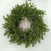 Penjualan terlaris pabrik bunga hijau karangan bunga campuran pinus Norfolk untuk bunga Dekoratif Natal