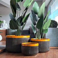 Pot Bunga Besar Modern Komersial dari Fiberglass FRP Ramah Lingkungan Tahan Lama Dekoratif untuk Taman Lanskap Dalam Ruangan.