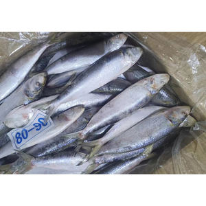 <span class=keywords><strong>Precio</strong></span> <span class=keywords><strong>de</strong></span> pescado <span class=keywords><strong>de</strong></span> sardina congelada <span class=keywords><strong>Sardinas</strong></span> a granel La Plus Moins Cher Manefactring off Sardine - Product Image 3