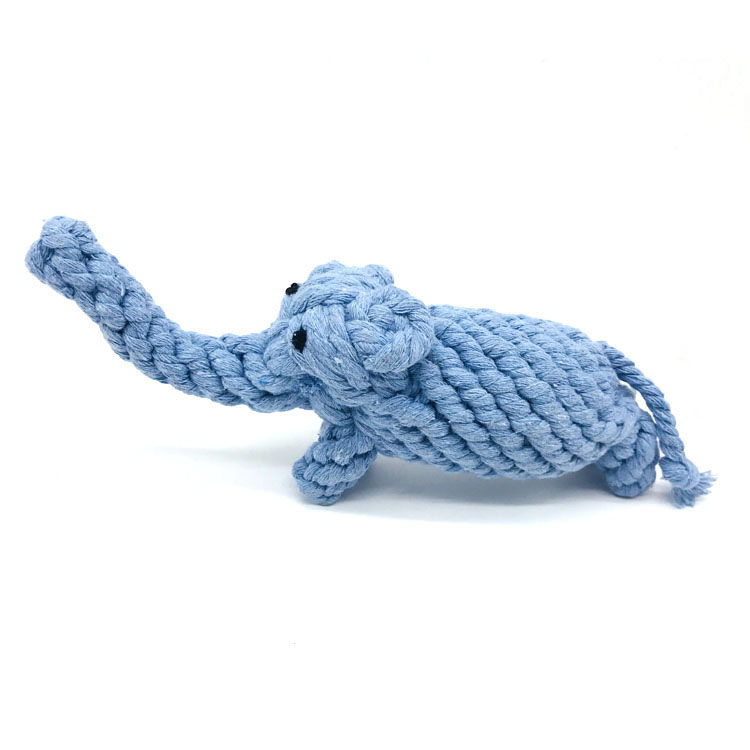 Blue Elephant