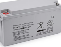 Batterie FirstPower LFPV12120 12V 120Ah à faible autodécharge pour système d'énergie éolienne et alimentation de secours pour station de base extérieure