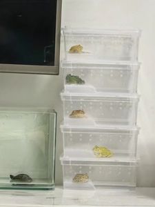 15x10x6,5 cm Transparente Reptilien box-PP-Kunststoff, Groß bestellung für Tierhandlungen und Züchter - Product Image 3