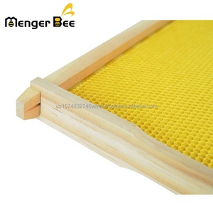 Nouvelle Fondation de Cadre de Ruche en Bois Menger Bee, Fondations en Plastique Jaune, Matériau en Pin de Nouvelle-Zélande, Garantie de 3 Mois, Apiculture - Product Image 6