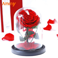 AM-PFA02 Petite fleur rouge préservée sous cloche en verre éternelle pour la fête des mères, Pâques, décoration murale, Saint-Valentin, Nouvel An