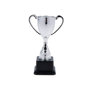 Trofeo de Plástico Verde con Impresión en Dorado, 26g, Tamaño Pequeño, para Niños, Competiciones Escolares, Caligrafía, Danza, Deportes - Product Image 3