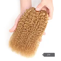 Cheveux Afro Bouclés Crépus 1 Pièce Cheveux Humains Brésiliens Tissage Double Trame Faite à la Machine Cheveux Remy 100g Rouge Livraison Gratuite