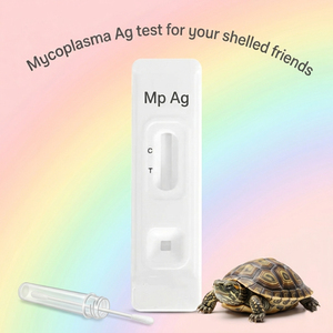 Tiras reactivas de diagnóstico veterinario para reptiles, prueba de antígeno de Mycoplasma para mascotas exóticas, tortugas, <span class=keywords><strong>precio</strong></span> al por mayor - Product Image 4