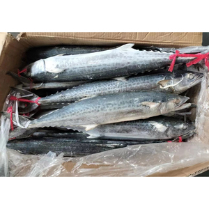 Pescado Atún Congelado IQF de 100-200g, Grado A, Venta al por Mayor de China, al Mejor Precio - Product Image 2
