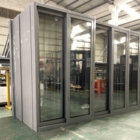 Fenêtres coulissantes modernes personnalisables en alliage d'aluminium avec moustiquaire en acier inoxydable, double vitrage, économie d'énergie, pour villa