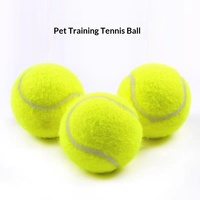 Balle de tennis flottante pour chien, résistante à l'usure, jouet d'extérieur pour chiot, chien de taille moyenne et grande, vente en gros