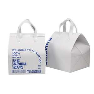 Petit sac isotherme jetable en non-tissé avec feuille d'aluminium pour le déjeuner, le vin, les boissons chaudes/froides, le café, la livraison de nourriture - Product Image 5