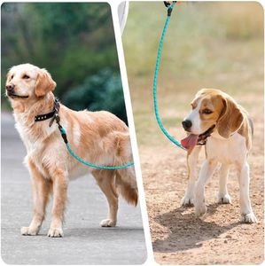 Laisse pour animaux de compagnie réconfortante avec fils réfléchissants de 8 mm, sangle en corde anti-emmêlement, pour chiens de petite et grande taille, noire, pour la promenade et l'entraînement - Product Image 6
