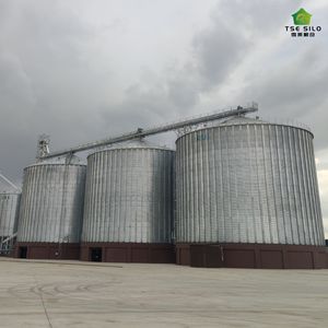 ODM silo TCK 6050T silo เหล็กเส้นก้นแบนสำหรับฟาร์ม<span class=keywords><strong>ห</strong></span>มู1000-15000ตันรับ ISO9001ได้รับการรับรอง CE - Product Image 2