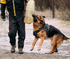 Dog Bite Training Set Dog Bite Sleeve Arm with Training Stick Training Protection Equipment for <b>Biting</b> Playing Toy Interactive - Product Image 2