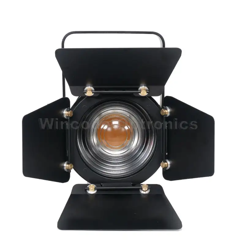 Zoom manuale WW/CW Bi-colore RGBW 4 in 1 alto CRI 100W LED Fresnel faretto DMX oscuramento lineare