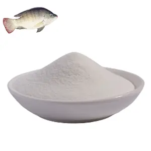 Poudre de peptides de collagène de poisson marin de prix usine de collagène de poisson de haute qualité largement utilisée pour la beauté