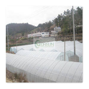 Cadre de <span class=keywords><strong>serre</strong></span> Acier galvanisé par immersion <span class=keywords><strong>Serre</strong></span> d'<span class=keywords><strong>occasion</strong></span> Verre à vendre <span class=keywords><strong>Serre</strong></span> à <span class=keywords><strong>tunnel</strong></span> unique - Product Image 3