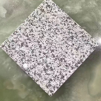 Prix bon marché Carreaux de granit blanc sésame Texture naturelle Dalle de granit poli Granit blanc de sésame pour revêtement de sol