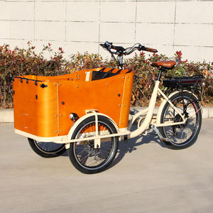 Bicicleta Eléctrica Ecológica de Estilo Europeo con Motor de 250W, <span class=keywords><strong>Remolque</strong></span> de Carga de 3 Ruedas con Caja, Triciclo Eléctrico para Adultos y Mascotas - Product Image 2