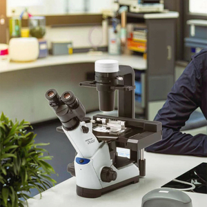 현미경 FLPH 형광 관찰 OL CKX53 - Product Image 3