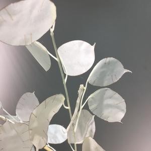 Feuilles de plante artificielle <span class=keywords><strong>Lunaria</strong></span> annuelle A-1066 (Argentier) pour bouquet de mariage, baby shower, arrangement floral - Product Image 4