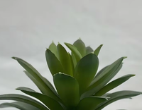 Plantes succulentes artificielles de bureau, mini-potées, écologiques, haute simulation, pour décoration de mariage, de remise de diplôme et de bureau