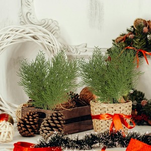 กิ่งสนเทียม, ใบสนสีเขียว, อุปกรณ์ DIY สำหรับพวงมาลัย ตกแต่งคริสต์มาส และตกแต่งสวนในบ้าน, ขายส่ง - Product Image 5