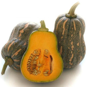 Calabaza Fresca de Vietnam a Precio Razonable, Producto Agrícola - Product Image 1