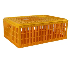 100% PE Vật Liệu Nhựa Gia Cầm Vận Chuyển Lồng, Vận Chuyển Thùng Cho Sống Gia Cầm (Skype: Zh-lydia) - Product Image 2