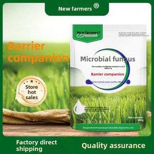 Phân bón hữu cơ vi sinh vật có độ hòa tan trong nước cao, ở dạng bột, có thể trồng cây con khỏe mạnh. - Product Image 5