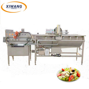Automatic Ginger and Potato Washing Line Eddy Current Washing Equipment - Product Image 3