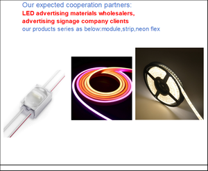 Tira de LED de Neón Flexible con Revestimiento de Silicona, 7*13mm, IP65 Impermeable, 24V, 50000H, Alto CRI, Regulable, para Letreros y Letras de Exterior - Product Image 5