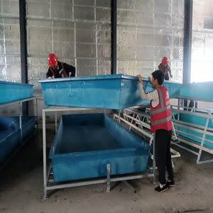 Bacs d'éclosion en PRV de haute qualité résistants à la corrosion avec services de soudage/découpe haute résistance pour l'élevage de crevettes et de poissons - Product Image 3