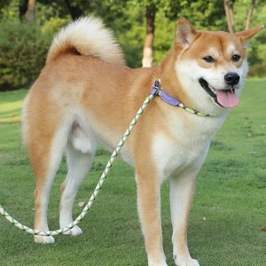 Nylon Dog Leash Medium Large Dogs Training Collar Pet Supplies Safety Belt Soft <b>Rope</b> Handle - Product Image 2