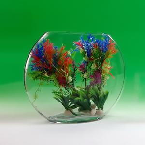 Glas <span class=keywords><strong>Aquarium</strong></span> Platte Ovale Vorm Fishbowll <span class=keywords><strong>in</strong></span> <span class=keywords><strong>Guangzhou</strong></span> - Product Image 3