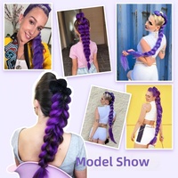 Perruque queue de cheval pour cosplay de groupe de filles démoniaques, avec tresses violettes et tresses de Rumi