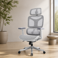 Chaise de bureau exécutive ergonomique moderne et confortable, pivotante, inclinable, en maille, avec repose-pieds réglable pour e-sport, soutien lombaire – Meilleure vente