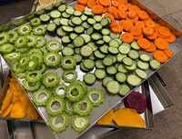 Mini machine de lyophilisation de laboratoire à domicile automatique pour le traitement des fruits et des aliments faits maison pour les aliments pour animaux de compagnie et à la maison