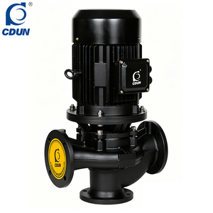 ปั๊มหอยโข่งแนวตั้งแบบอินไลน์ TD100-48/2 22 กิโลวัตต์ ใบพัดเหล็กหล่อ มอเตอร์ทองแดง 2 โพล ท่อส่งสูง แบบ OEM - Product Image 1