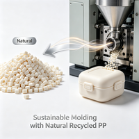 Granulés de polypropylène recyclé naturel, couleur naturelle, durables, pour le moulage par injection et les articles ménagers