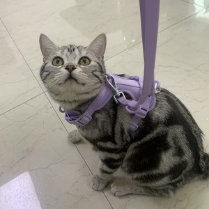 ドレスドレスドレスカスタムロゴ高級デザイナーPVCネオプレンペットベスト犬用リードカラーハーネスリーシュセット - Product Image 2