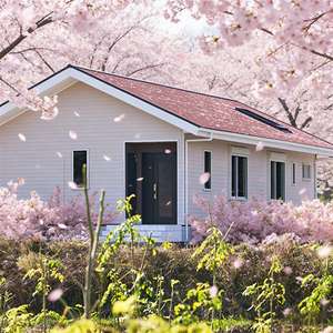 PTH Hersteller Containerhaus Modernisierung Hohe Schneelast Fertighäuser mit <span class=keywords><strong>3</strong></span> Zimmern - Product Image 1